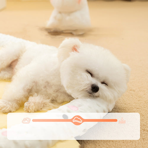 Orthopedic Dog Sofa Bed – Waterproof, Supportive and Super Cozy